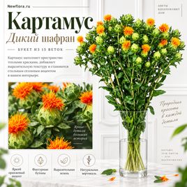 Букет 15 веток дикого шафрана «картамус»