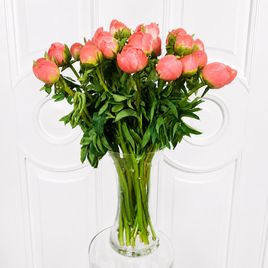 Пион коралловый маленький (поштучно)