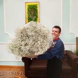 Букет облако 25 гипсофил в упаковке