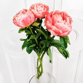 Пион коралловый большой отборный (поштучно)