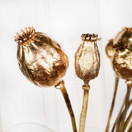 Мак золотой «Papaver» (маленький)