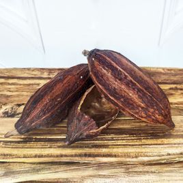 Какао-бобы «cacao mocha» (тропический сухоцвет)