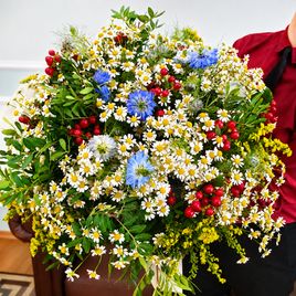 Букет 29 кустовых ромашек с нигеллой и солидаго