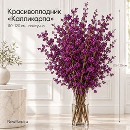 Красивоплодник «калликарпа» высотой 110-120 см (поштучно)