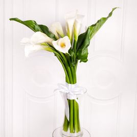 Букет 11 белых калл 90см с листьями (заказчик GalinaRogaleva.com)