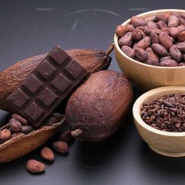 Большой набор какао-бобов «cacao mocha» (тропический сухоцвет)