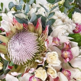 Букет роз с гортензиями, орхидеями и протеей (для Bentley Motors St.P)