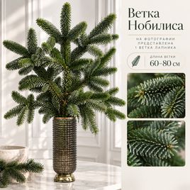 Нобилис лапник пихты «witband» 60-80 см (поштучно)