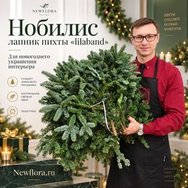 Нобилис лапник пихты «lilaband» (поштучно)