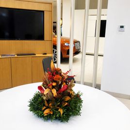 Настольная композиция с гумнатом и целозией (для Bentley Motors St. P)