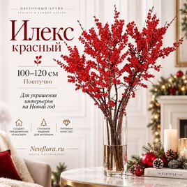 Илекс красный 100-120 см (поштучно)