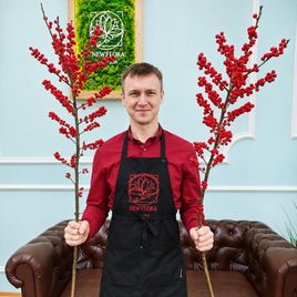 Илекс красный 100-120 см (поштучно)
