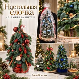Настольная ёлочка из лапника пихты с новогодними игрушками (на усмотрение флориста)