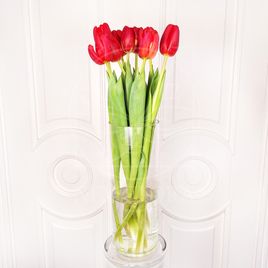 Тюльпан красный здоровенный 60-70см (поштучно)
