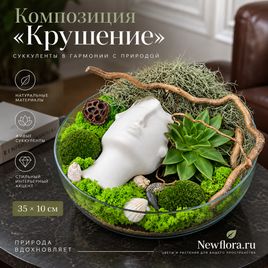 Композиция «крушение» в стеклянной вазе со мхом и суккулентами 35×10 см