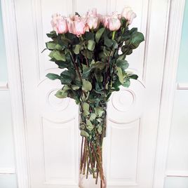 Нежно розовые розы высотой 100см (поштучно)