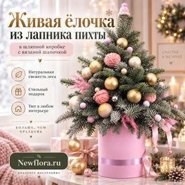 Настольная ёлочка из лапника пихты в шляпной коробке с вязаной шапочкой