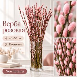 Bерба розовая поштучно 40-60 см (поштучно)
