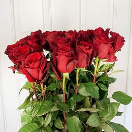 Букет 27 красных роз высотой 130см