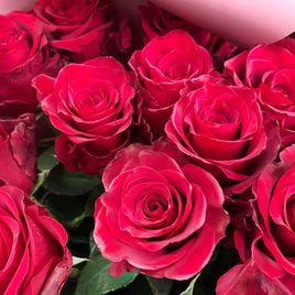 Букет 17 красных роз высотой 100см в упаковке