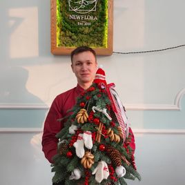 Настольная ёлочка из лапника пихты (50-60см)