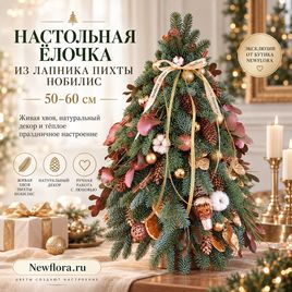 Настольная ёлочка из лапника пихты нобилис с брауни декором (50-60 см)