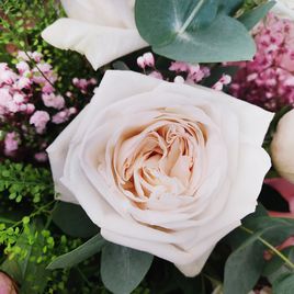 Букет пионовидных роз с пионами и эвкалиптом