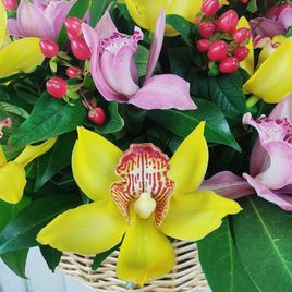 Корзина цветов с орхидеями и гиперикумом