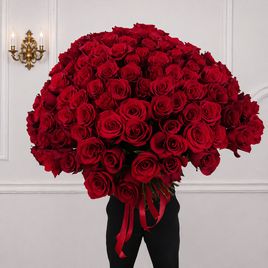 Букет 101 красная роза 60см (Эквадор)