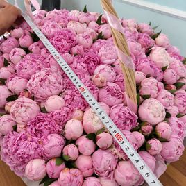Корзина из 501 розового пиона