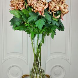 Хризантема персиковая 60-70см (поштучно)