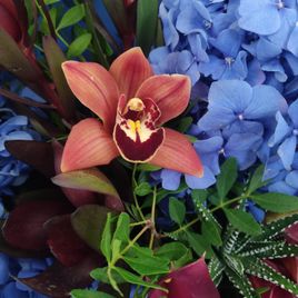 Букет гортензий с орхидеей, тюльпанами и атуриумом