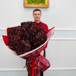 Букет 7 темно-бордовых гортензий H70см D22-25см
