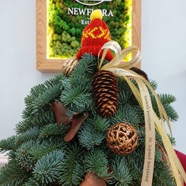 Настольная ёлочка с шапочкой из лапника нобилиса в кашпо (60-80 см)