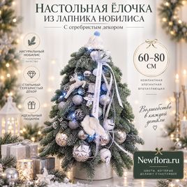 Настольная ёлочка из лапника нобилиса с серебристыми декором (60-80 см)