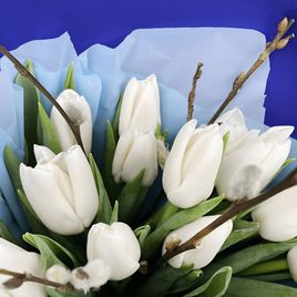 Букет из 15 белых тюльпанов с вербой