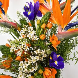 Букет стрелиций с ирисами и орнитогалумом