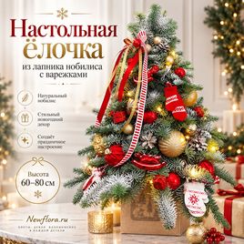 Настольная ёлочка из лапника нобилиса с варежками (60-80 см)