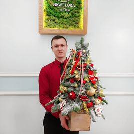 Настольная ёлочка из лапника нобилиса (60-80см) с варежками