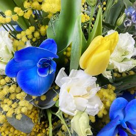 Букет из тюльпанов с мимозой, лизиантусом, оксипеталумом, краспедией и орхидеей