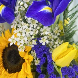 Букет из тюльпанов с ирисами, подсолнухом, мимозой и ваксфлауэр