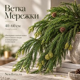 Ветка Мережки 40-60 см (поштучно)