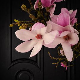 Магнолия срезанная ветка 100-130см (поштучно)