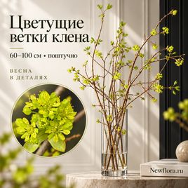 Цветущие ветки клена 60-100 см (поштучно)