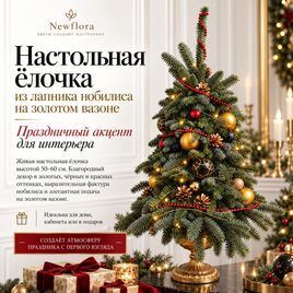 Настольная ёлочка из лапника нобилиса на золотом вазоне (50–60 см)