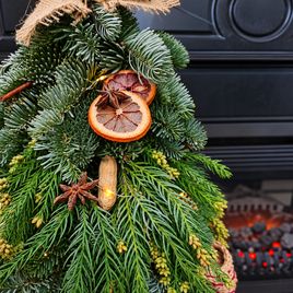 Настольная ёлочка из лапника нобилиса в лаптях (50-60 см)