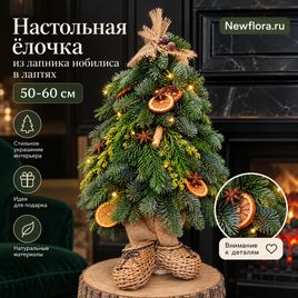 Настольная ёлочка из лапника нобилиса в лаптях (50-60 см)