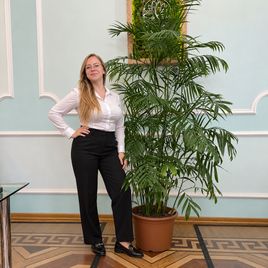 Пальма Хамедорея «Elegance» (высота 200-220 см)