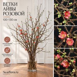 Ветки айвы розовой 100-130 см (поштучно)
