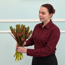 Ананас декоративный 40-60 см (поштучно)